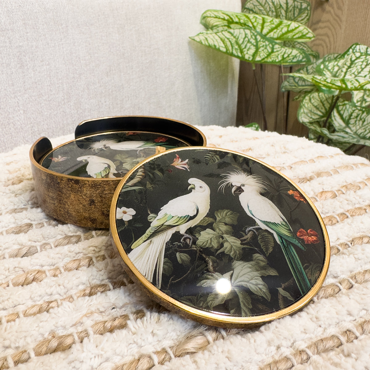 Green & Gold Tropical Parrot Coasters - Set of 4