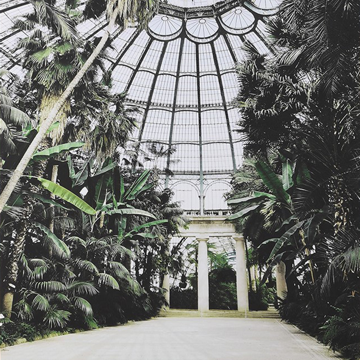 An artwork of a glass dome with lush greenery inside a conservatory