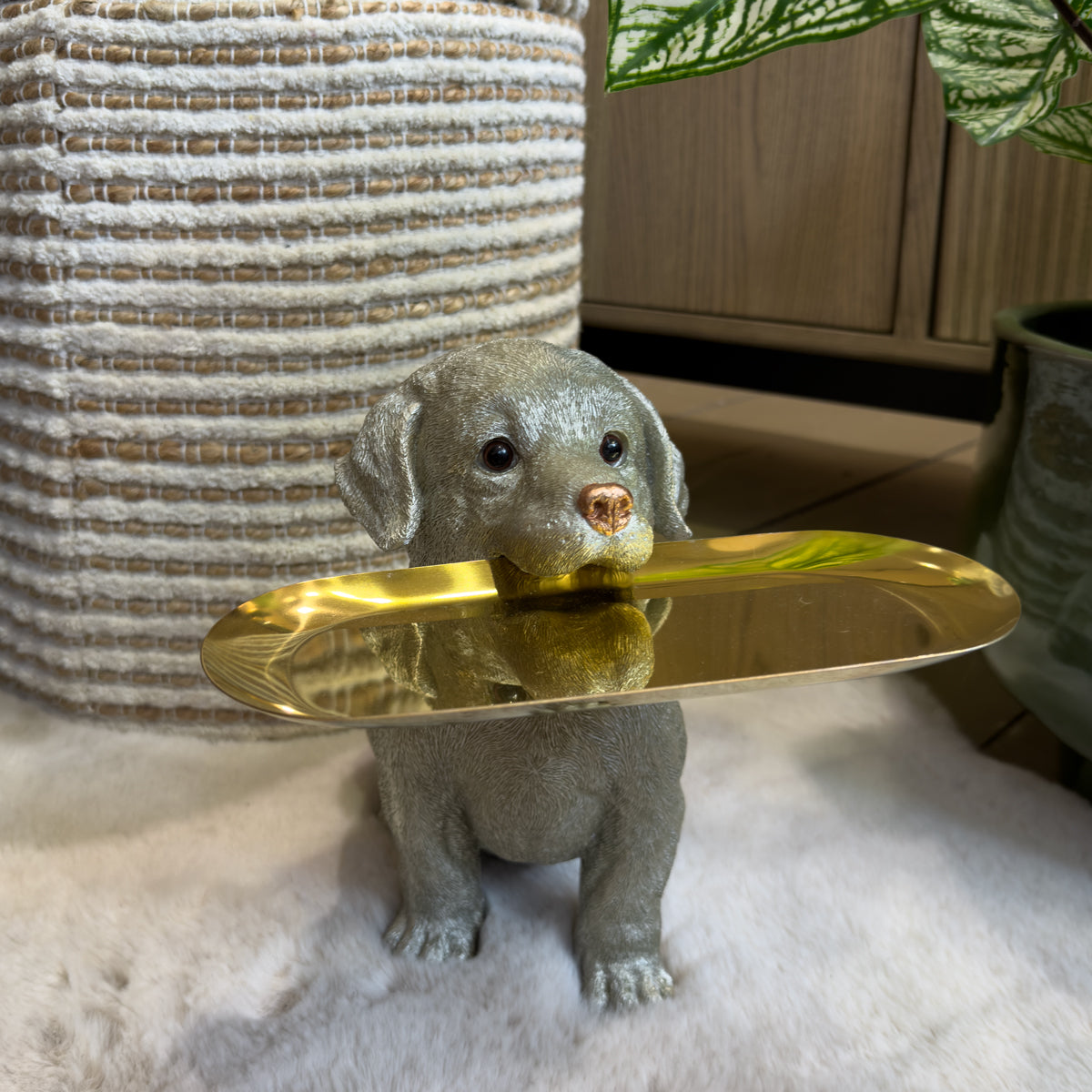 Silver Dog Sculpture With Gold Tray