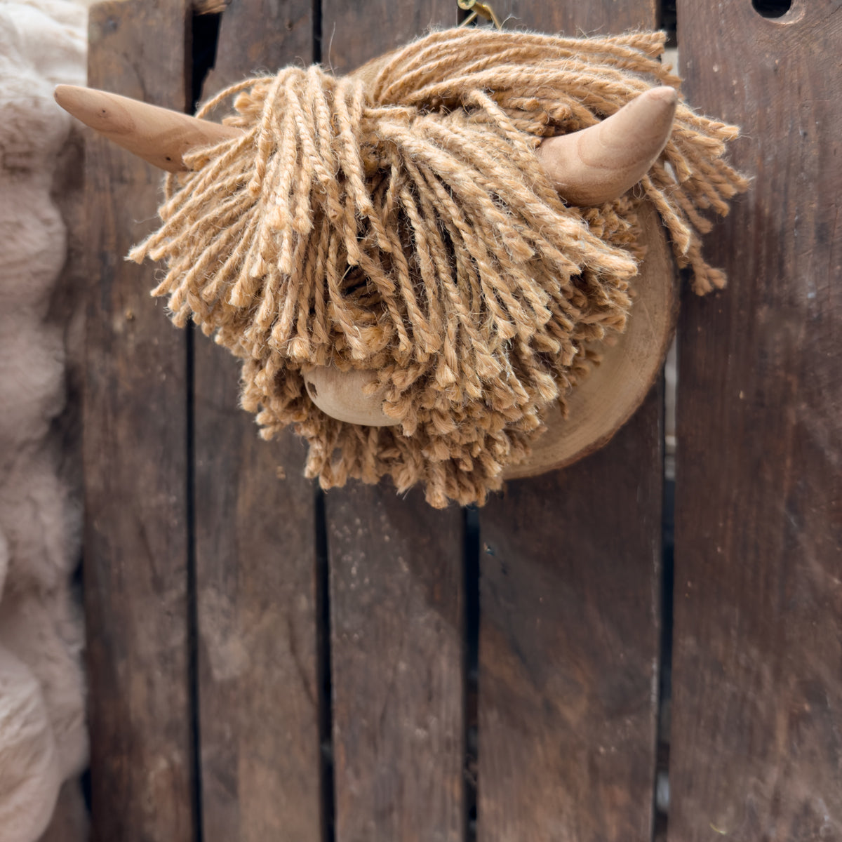 Rory Highland Cow Wall Deco - Mini