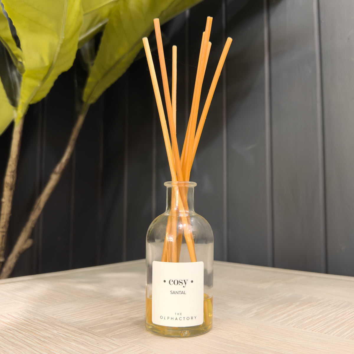 Black Box Pure T&T Diffuser 100ml - Cosy