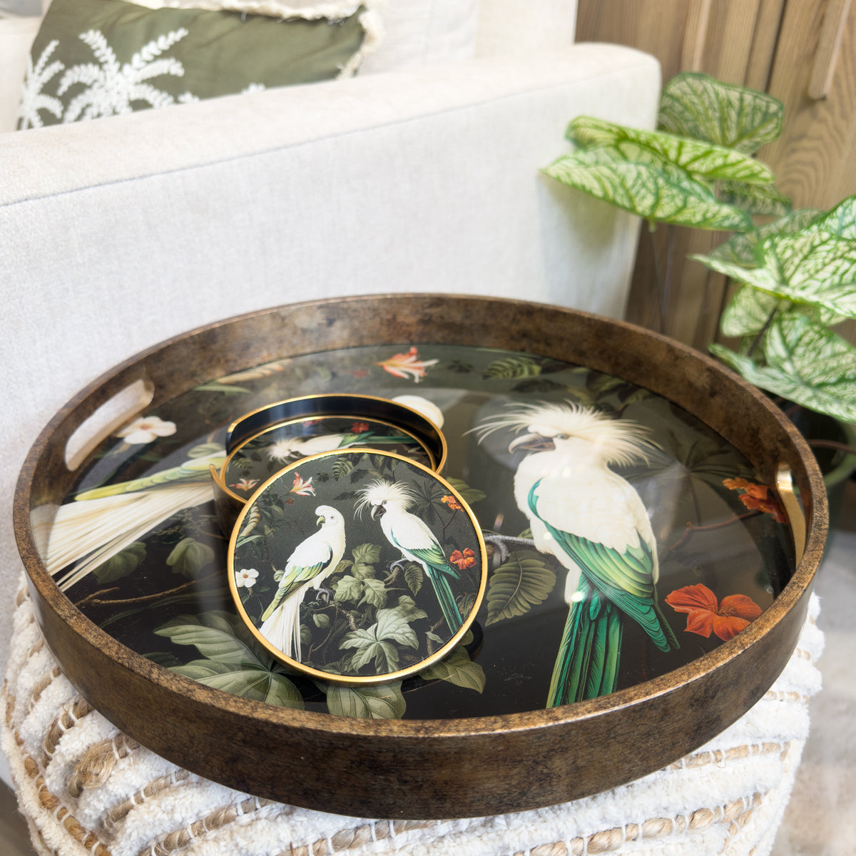 Green & Gold Tropical Parrot Coasters - Set of 4
