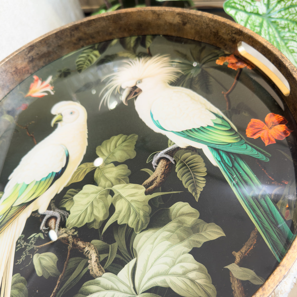 Green & Gold Tropical Parrot Tray - Small