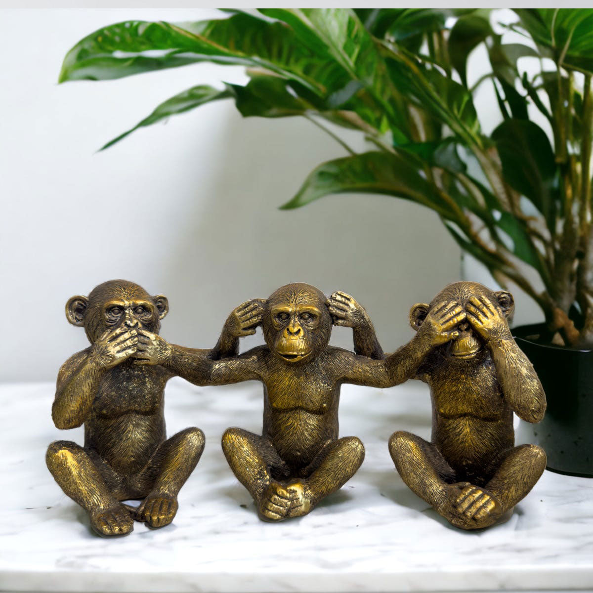 Three bronze monkey statues representing 'see, speak, hear no evil' on a marble surface with a plant in the background.