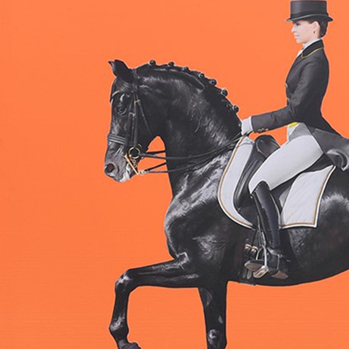 Woman in equestrian attire riding a black horse on an orange background