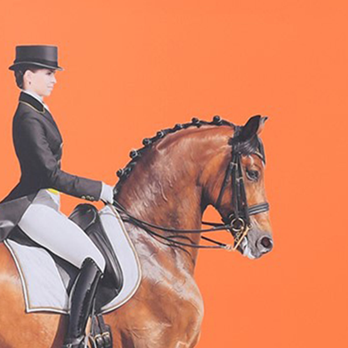 Person riding a horse against an orange background