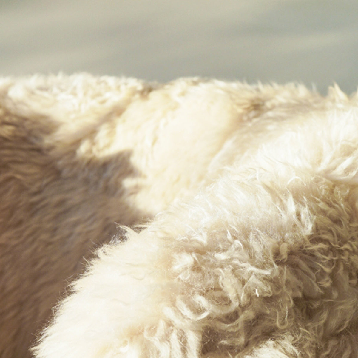 A close up of a cream sheepskin tub chair showing the textured fabric.