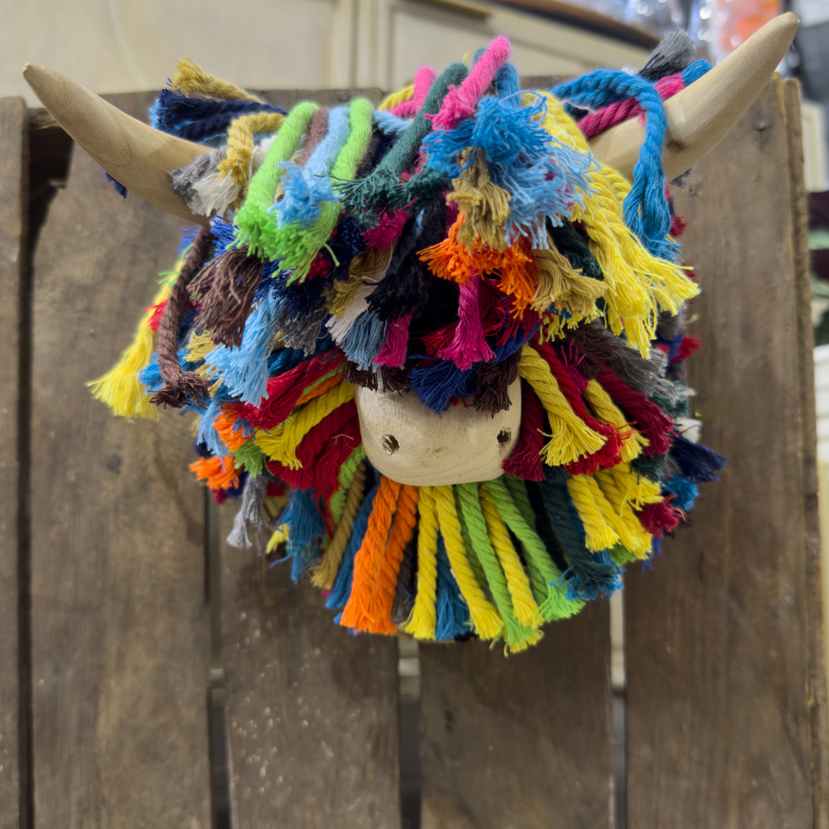 Islay Multi Cord Highland Cow Wall Decor - Mini