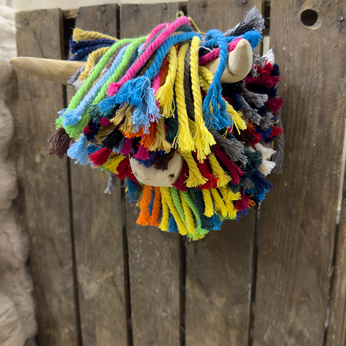 Islay Multi Cord Highland Cow Wall Decor - Mini