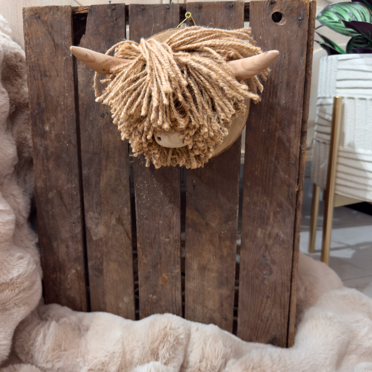 Rory Highland Cow Wall Deco - Mini